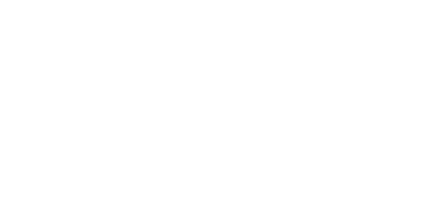 Zaydn sneakers