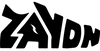 Zaydn logo
